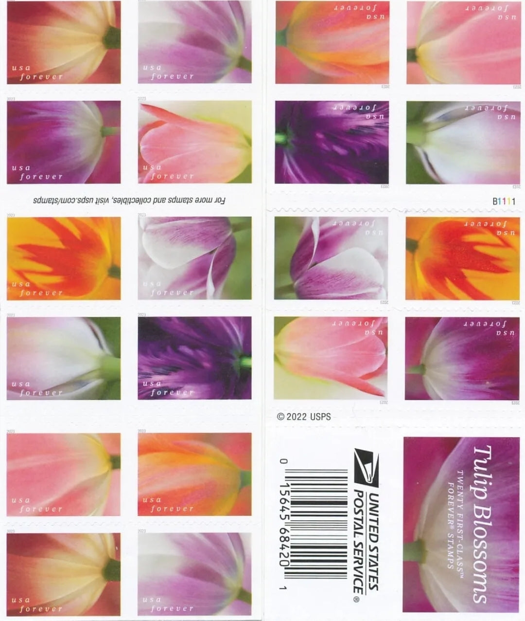 Tulip Blossoms Forever Stamps
