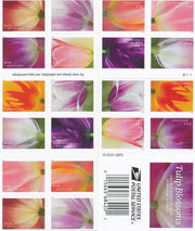Tulip Blossoms Forever Stamps