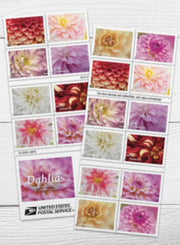 Dahlias Forever Stamps